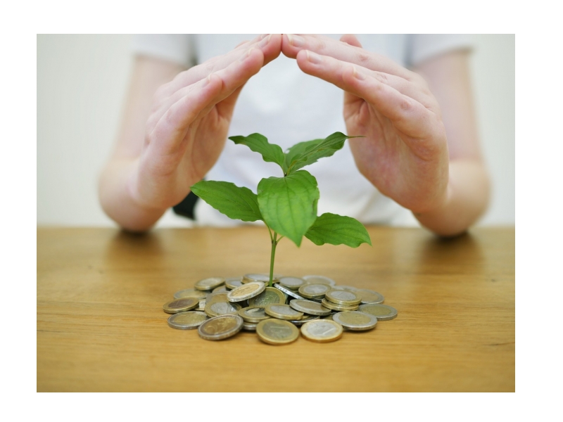Pravilnik o IPARD podsticajima za investicije u fizičku imovinu poljoprivrednih gazdinstava u okviru IPARD III programa, koji je objavljen u Službenom glasniku RS