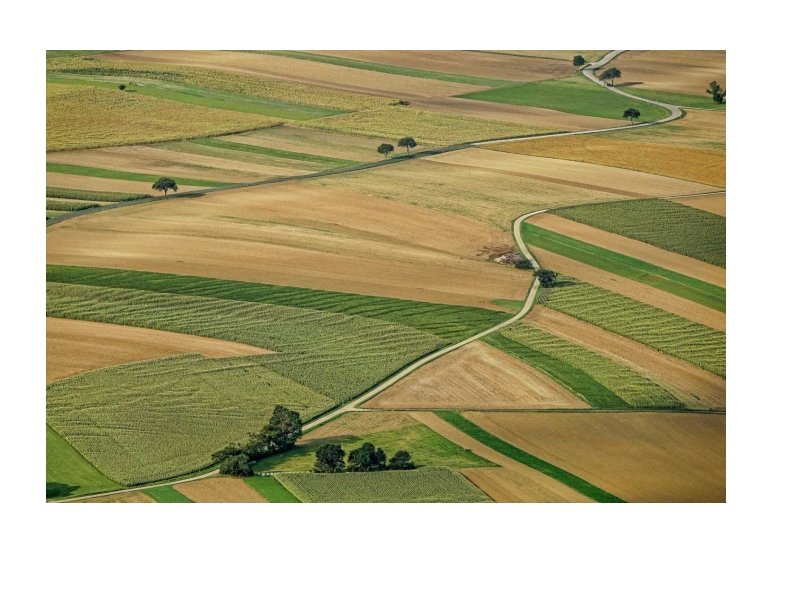 Konkurs za dodelu sredstava za unapređenje i razvoj ruralne infrastrukture i usluga u AP Vojvodini u 2024. godini