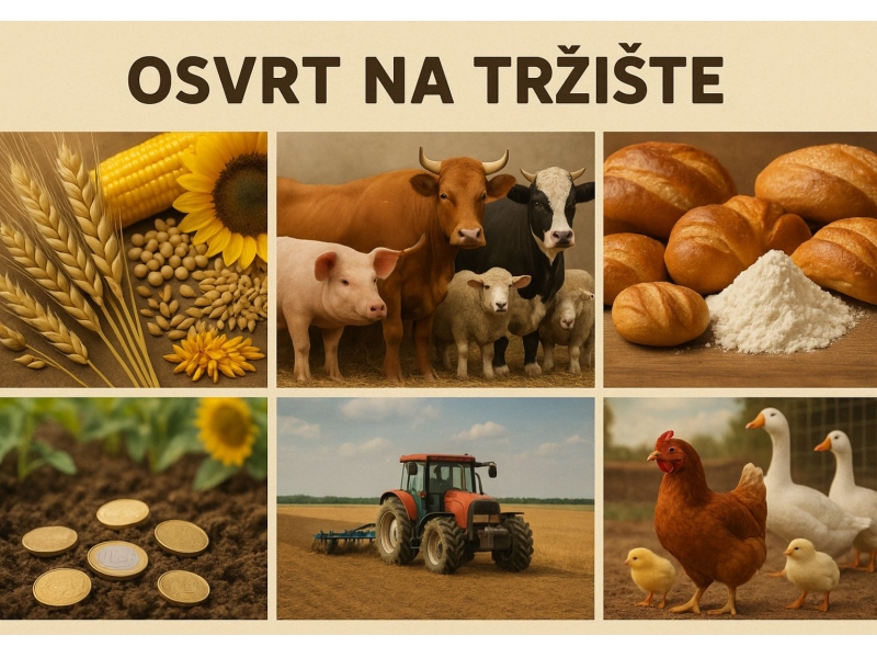 Dnevni osvrt na tržište – Info Tim 06.08.2026.